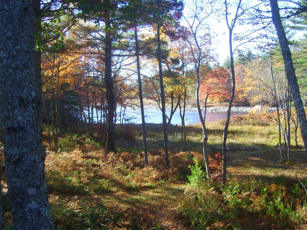 Roseway River Cottages Shelburne Exterior foto