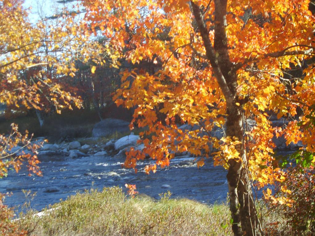 Roseway River Cottages Shelburne Exterior foto