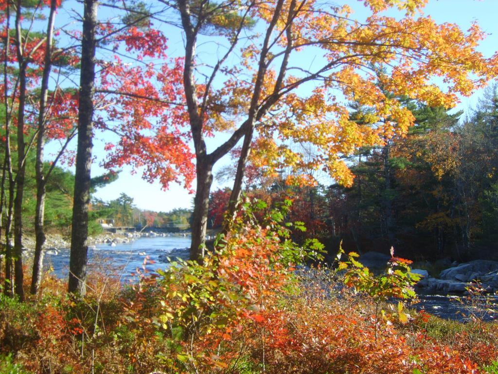 Roseway River Cottages Shelburne Exterior foto